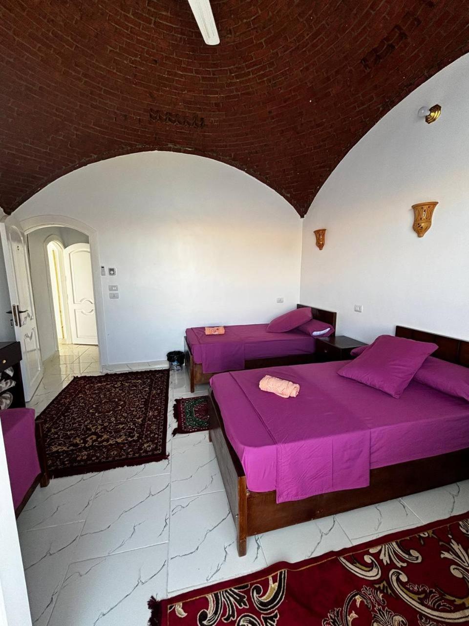 אסואן Nile View Guest House מראה חיצוני תמונה